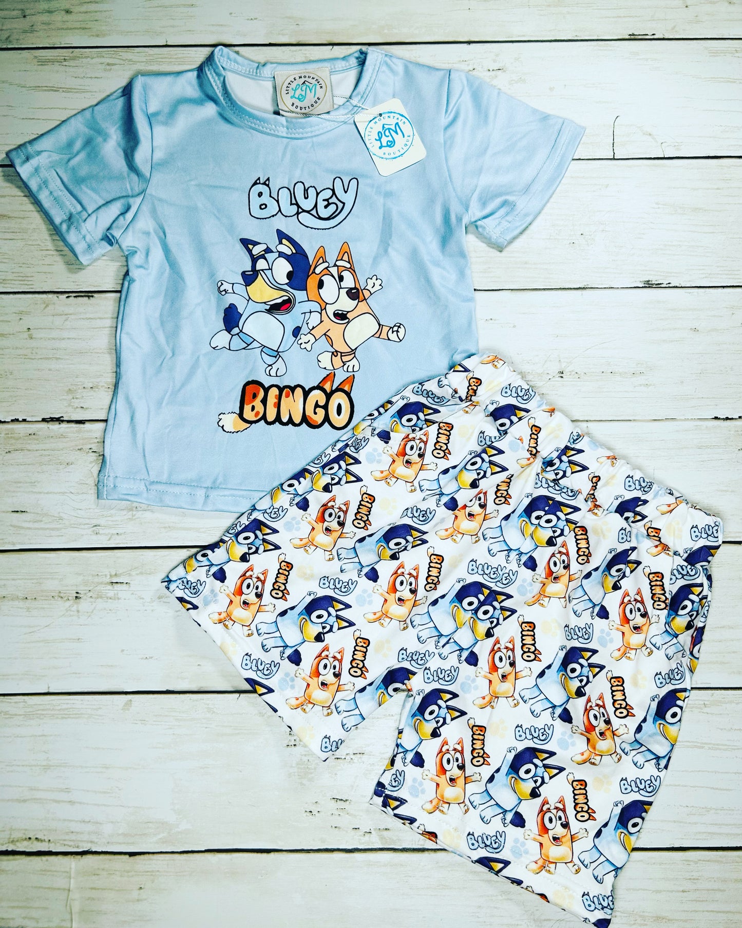 Boys Bluey Shorts Outfit Set