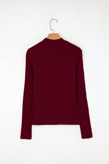 Solid Metallic Ribbed Knit Long Sleeve Top