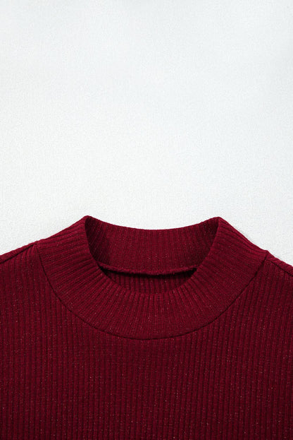 Solid Metallic Ribbed Knit Long Sleeve Top