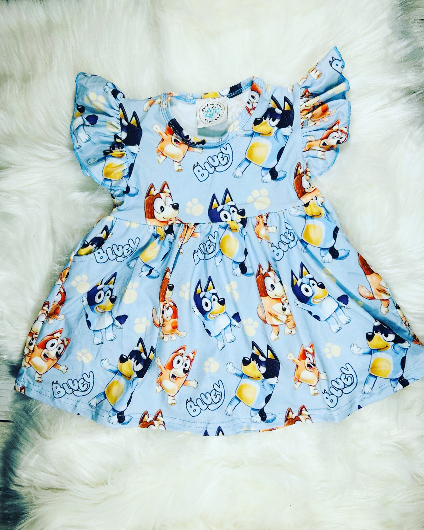 Bluey Family Dress